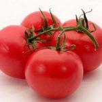 ผลมะเขือเทศ