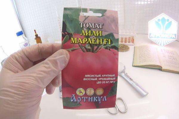 เมล็ดมะเขือเทศ