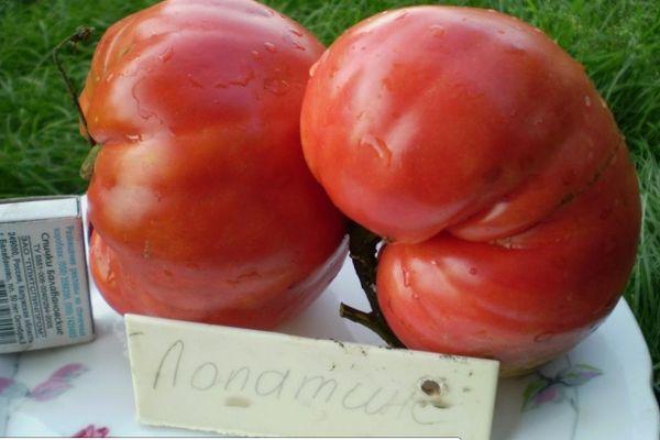 Deux tomates