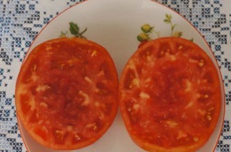 เนื้อมะเขือเทศ