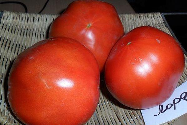 Trois tomates
