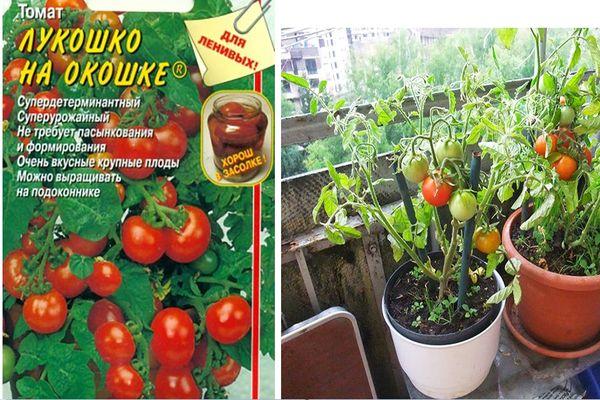 เมล็ดมะเขือเทศ