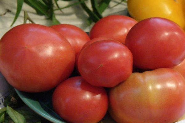 มะเขือเทศสุก