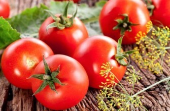 มะเขือเทศสุก