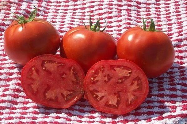 เนื้อมะเขือเทศ