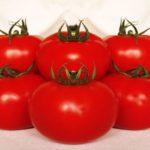 มะเขือเทศมาลิกา