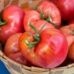 มะเขือเทศในตะกร้า