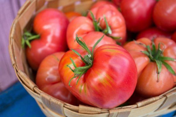 มะเขือเทศในตะกร้า