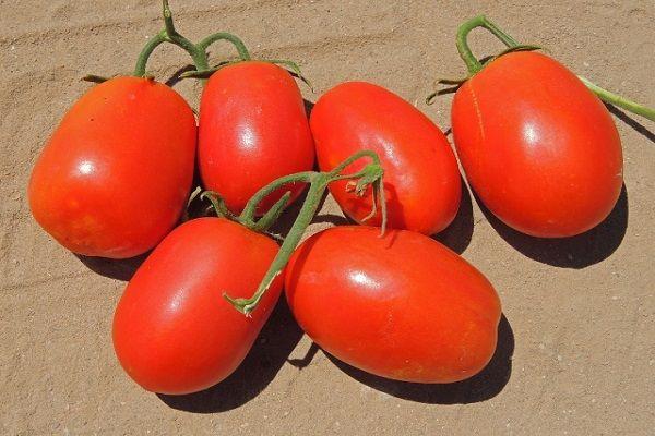 Tomates Marianna