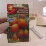 เมล็ดพันธุ์หนึ่งแพ็ค