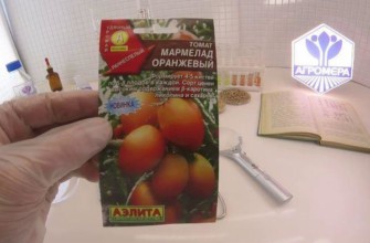 เมล็ดพันธุ์หนึ่งแพ็ค