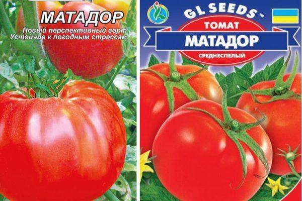 เมล็ดมะเขือเทศ