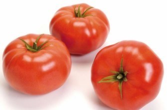 มะเขือเทศมาเทียส