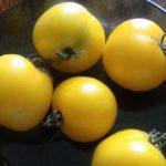มะเขือเทศสีเหลือง