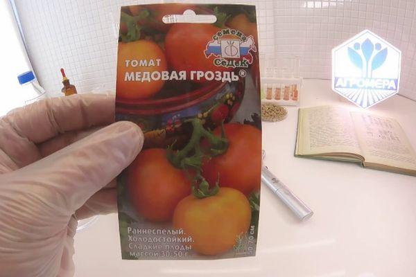 เมล็ดมะเขือเทศ