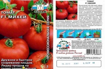 ลักษณะของมะเขือเทศ