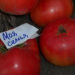 มะเขือเทศสุก