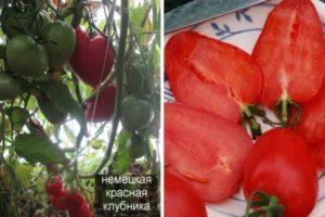 คำอธิบายเกี่ยวกับมะเขือเทศ German Red Strawberry และคำแนะนำในการปลูก