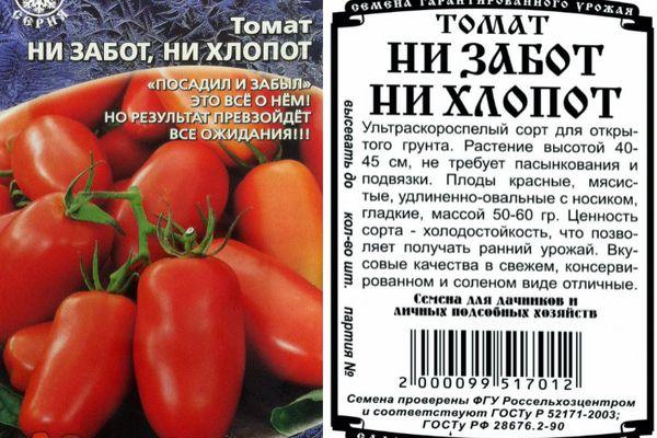 Tomates à fruits longs