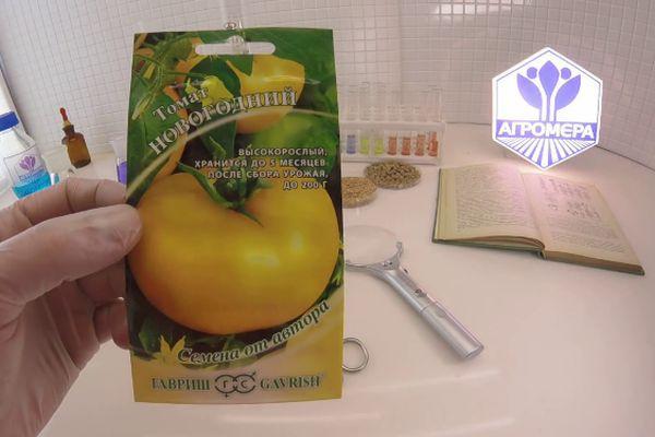 เมล็ดมะเขือเทศ