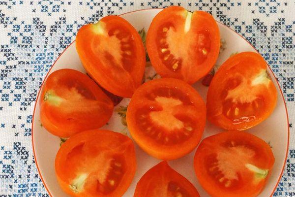 Fruits de tomate