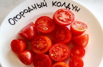 มะเขือเทศสุก