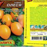 Description de la tomate