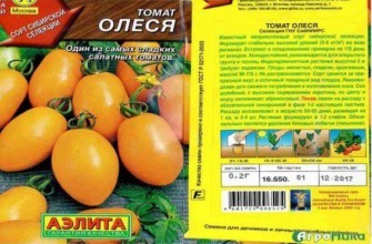 ลักษณะของมะเขือเทศ