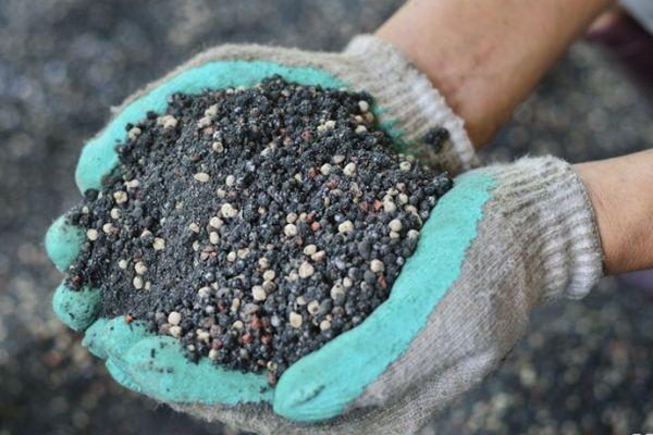 ดินกับปุ๋ย