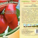 ลักษณะของมะเขือเทศ