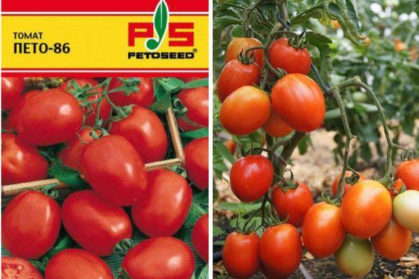 Description de la tomate