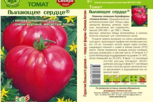 มะเขือเทศรูปหัวใจ