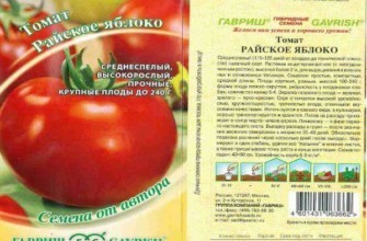 ลักษณะของมะเขือเทศ