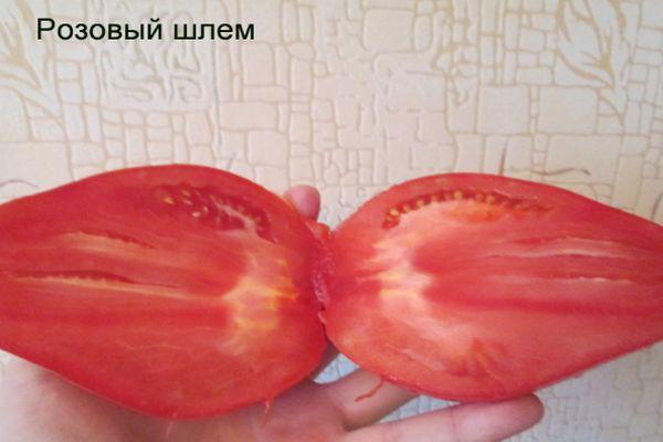 pulpe de tomate