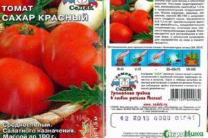 คำอธิบายพันธุ์มะเขือเทศน้ำตาลแดงและการปลูกในแปลงสวน