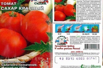 ลักษณะของมะเขือเทศ