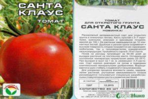 คำอธิบายเกี่ยวกับมะเขือเทศซานตาคลอสและการปลูกในพื้นที่โล่ง