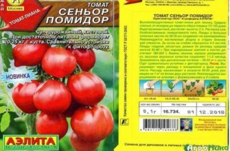 มะเขือเทศเซญอร์