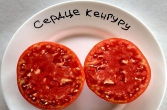 มะเขือเทศหั่นชิ้น