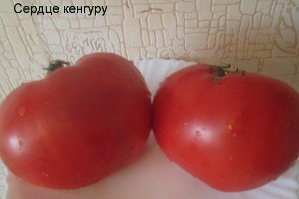 Deux tomates