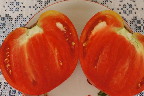 Une tomate coupée