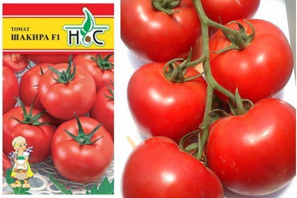 มะเขือเทศชากีร่า