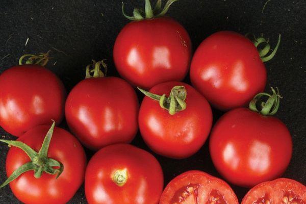 มะเขือเทศสีแดง