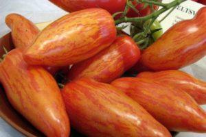 คำอธิบายเกี่ยวกับมะเขือเทศลายพริกเชอร์คานและเทคนิคการปลูก