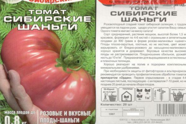 ลักษณะของมะเขือเทศ