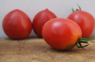 ผลมะเขือเทศ