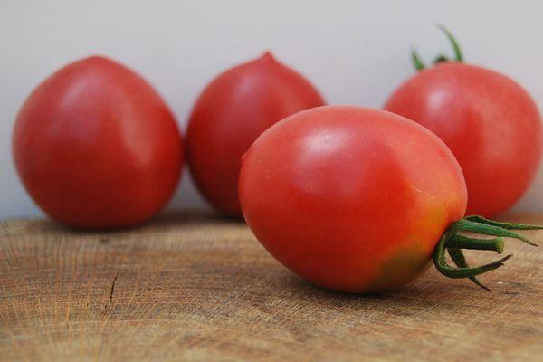 Fruits de tomate