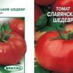 เมล็ดมะเขือเทศ