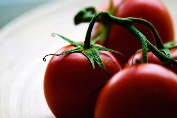 มะเขือเทศสุก