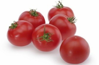 มะเขือเทศไทเลอร์